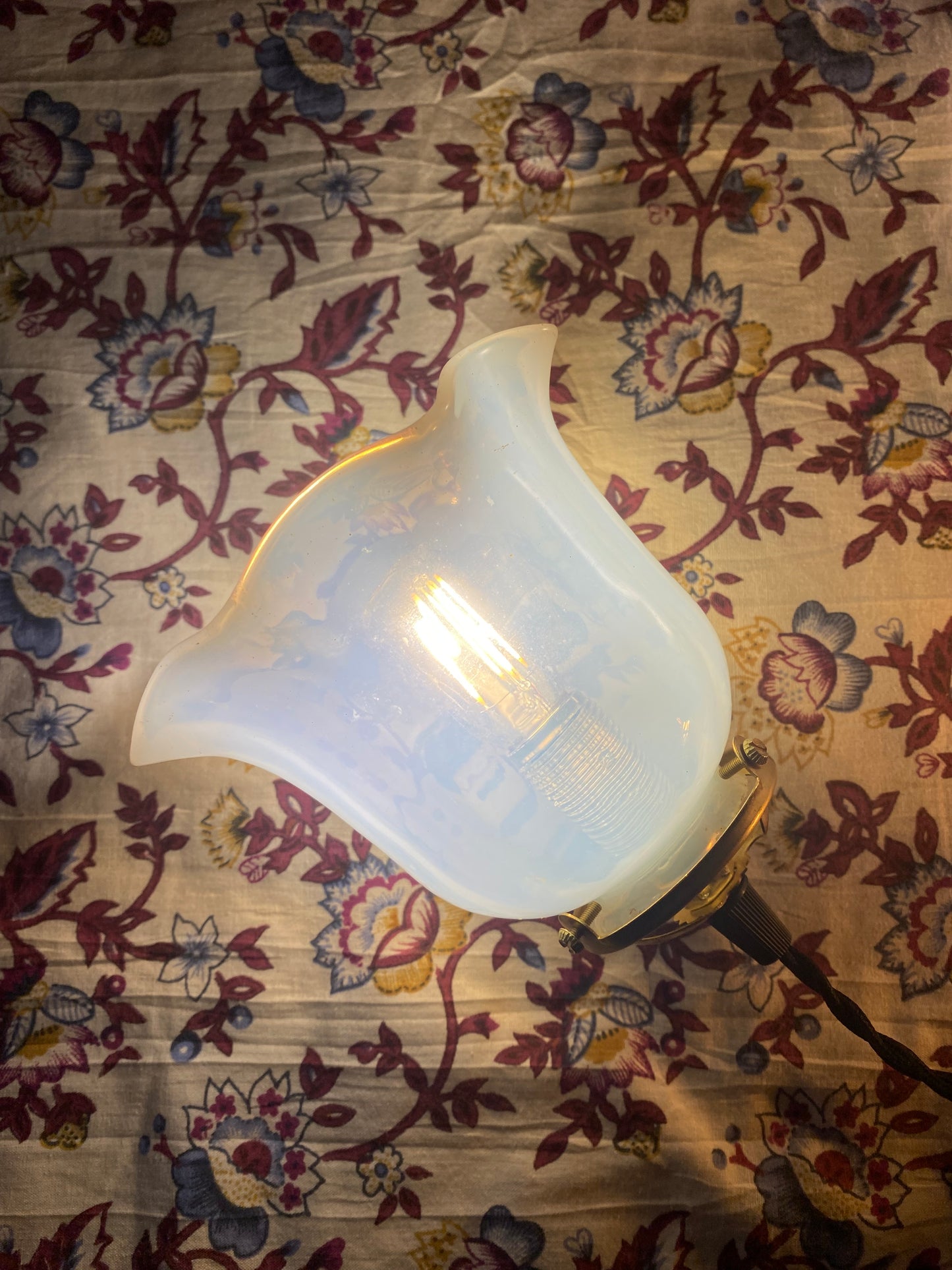 Lampes baladeuses aux tulipes anciennes