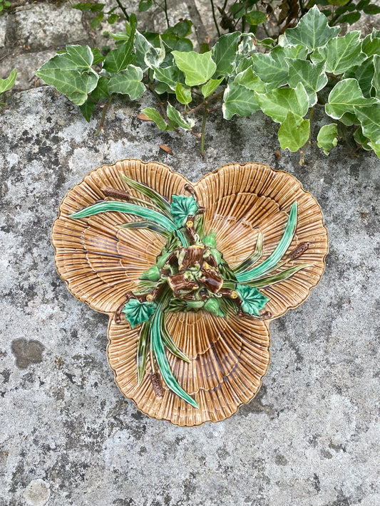 Coupe ancienne en barbotine de Sarreguemines Coquillages et roseaux