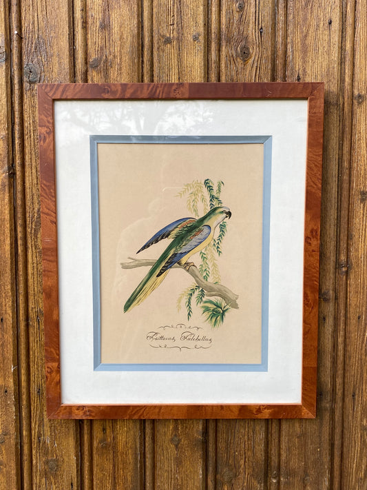 Tableau à la perruche
