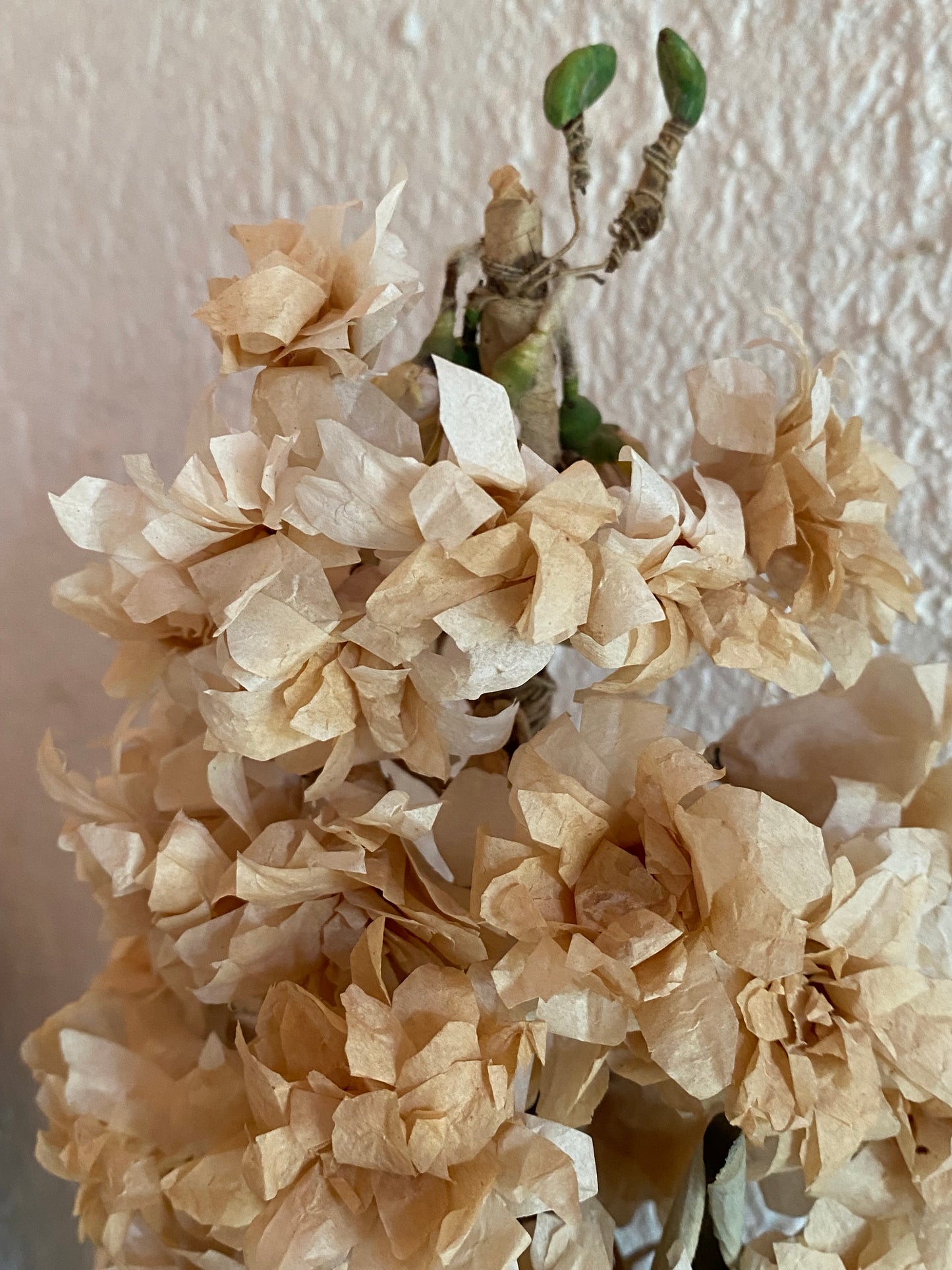 Vase de mariée et son bouquet